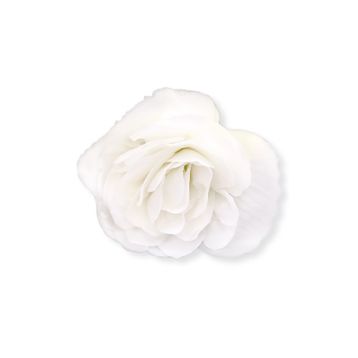Бегония Нонстоп F1 white 