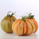 Томат Таркюто F1 