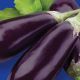 Жизель F1 семена баклажана раннего 300-350 гр. 25-30 см цилиндр. (GL Seeds)