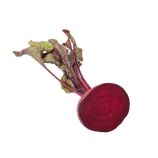 Зепо F1 (Зеппо F1) (PR 2,75-3,5мм) семена свеклы столовой ультраранней 85-90 дн. окр. (Rijk Zwaan)