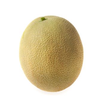 Карібіан Голд F1 насіння дині тип Cantaloupe (Rijk Zwaan)
