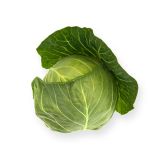 Силима F1 (Силема) семена капусты б/к среднеранней 65-70 дн. 1,5-4 кг окр. (Rijk Zwaan)