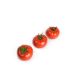 Уманья 73-602 семена томата (GL Seeds)