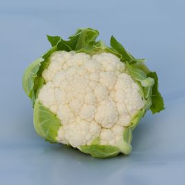 Клафорса F1 семена капусты цветной средней 75-80 дн. 1,5-2 кг бел. (Syngenta)