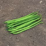 Серенгети семена фасоли спаржевой кустовой ранней 15 см зел./бел. (Syngenta)