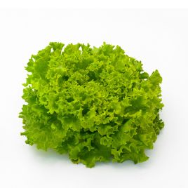салат листовой фанли