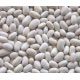 Белая овощная семена фасоли спаржевой (Euroseed)