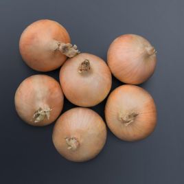 Хайсингер F1 семена лука репчатого среднего дня позднего 120-125 дн. желтого (Bejo)