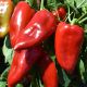 Милавер F1 семена перца сладкого тип Каппи раннего 78-80 дн. 160-180 гр. 18-20 см 5-7мм зел./красн. (Leda)