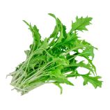 Мизуна зеленая семена салата тип Горчичный (Moravoseed)