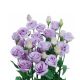 Розита F1 лавандовая (lavander) семена эустомы на срез махр. 75-85см (Sakata)