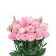 Розита F1 розовая (pink) семена эустомы на срез махр. 75-85см (Sakata)