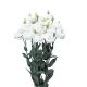 Розіта F1 біла (pure white) насіння еустоми на зріз махр. 75-85см (Sakata)