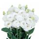 Розіта F1 біла (pure white) насіння еустоми на зріз махр. 75-85см (Sakata)