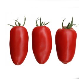 Гаспачо насіння томату дет. середнього перцев. 70-90 гр. червон. (Breeding Seeds)