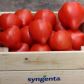 Доминет F1 семена томата полудет. раннего с носик. 190-210 гр. красн. (Syngenta)