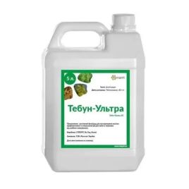 Тебун-Ультра протравитель текучий концентрат суспензии (Rangoli)