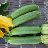 Мерлін F1 (INX 10554 F1) насіння кабачка ультрараннього 35 дн 300-400 гр світло-зеленого (Innova Seeds)