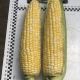 Екшен F1 насіння кукурудзи суперсолодкої Sh2 середньої 77 дн. 24-26 см 16-18 грн. біколор (Spark Seeds)