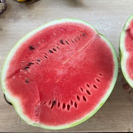 Кавун Ред Беррі F1 (W42)