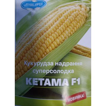 Кетама F1 семена кукурузы суперсладкой Sh2 ранней 67-70 дн. 23 см 16-18 р. (Harris Moran/Clause)