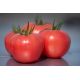 Томат Мануса F1