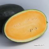 КС 250 F1 (KS 250 F1) семена арбуза тип кр.св. 2,5-4 кг овал. оранж. (Kitano Seeds) ОЖИДАЕТСЯ