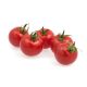 Сассарі F1 (Сасарі F1) насіння томату індет. черрі раннього окр. 17-20 гр. червоний (Rijk Zwaan)