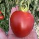 Бильбао F1 семена томата индет. среднераннего 65-70 дн. слив. 120-140 гр. красный (Clause)
