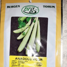 Анадолу Аджур насіння огірка партенокарп. середнього 70-80 дн. до 45 см біл. (BT Tohum)