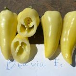 Бравия F1 (Bravia) насіння перцю солодкого тип Угорський ультраран. 47-50 дн.140-160 гр. 6-7 мм біл. (Rijk Zwaan)