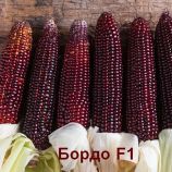 Кукурудза цукрова Бордо F1