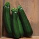 Кефрен F1 (Kefren F1) насіння цукіні раннього 30-40 дн. 350-400 гр. темно-зеленого (Rijk Zwaan)
