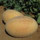 Марадона F1 семена дыни тип Ананас ранней 65-70 дн. 3,0-3,5 кг овал. оранж./крем. (Clause)