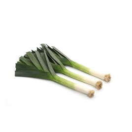 Матисс (Matisse) (PR) семена лука порей среднепозднего 130 дн. темно-зелен. (Rijk Zwaan)