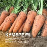 Кумбре F1 (1,8-2,0) семена моркови Шантане среднепоздней 120-125 дн. 13-16 см (Nunhems)