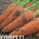 Кумбре F1 (1,8-2,0) насіння моркви Шантане середньопізньої 120-125 дн. 13-16 см (Nunhems)
