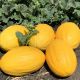 Віфак F1 (Wifak F1) насіння дині тип Амаріло середньої 65-70 дн. 3,0-3,5 кг овал. (Seminis)