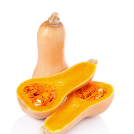 Скарлет F1 семена тыквы мускатной тип Баттернат средней 100-110дн. 1,3-1,8кг (LibraSeeds)