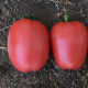 Томат Конго F1