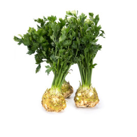 Президент семена сельдерея корневого (Rijk Zwaan)