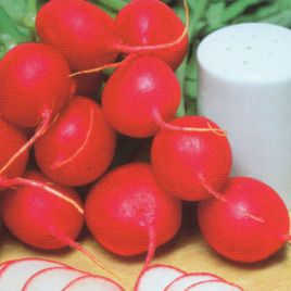Гигант буттер семена редиса (Hortus)