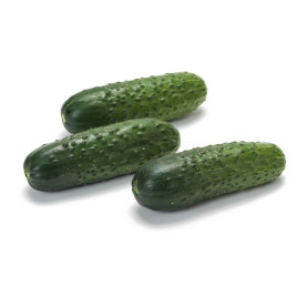 Ленара F1 насіння огірка партенокарп. (Rijk Zwaan)