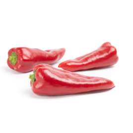 Портека F1 насіння перцю солодкого (Rijk Zwaan)