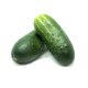 Пучини F1 семена огурца партенокарп. (Rijk Zwaan)