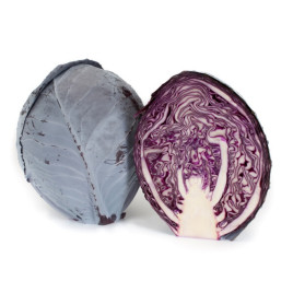 Родима F1 семена капусты к/к поздней (калибр.) (Rijk Zwaan)