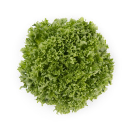 Салат Лалік (Lalique) 