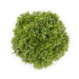 Салат Лалик (Lalique) 