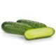 Огірок Брідж F1