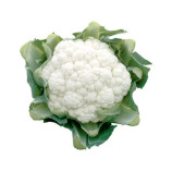 Декстер F1 насіння капусти кольорової (Rijk Zwaan)